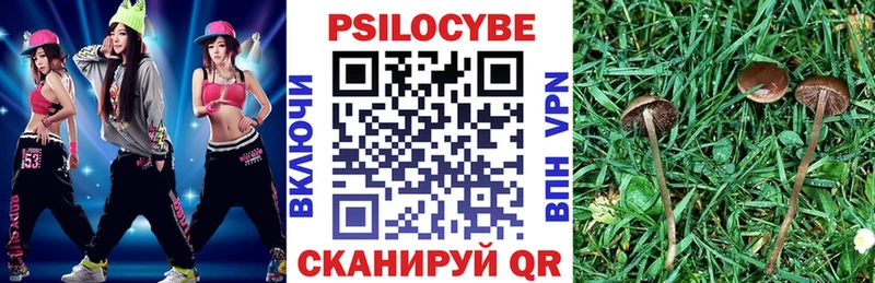 Псилоцибиновые грибы GOLDEN TEACHER Томари
